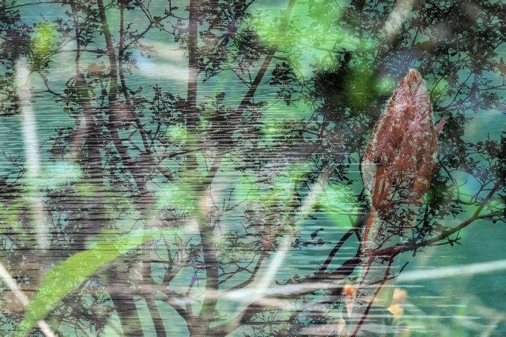 Korinna Fröhlich, Doppelbelichtung 2023 - Inspiration zum Gedicht "Mein Weg" Korinna Fröhlich, Doppelbelichtung 2023 - Inspiration zum Gedicht "Mein Weg"