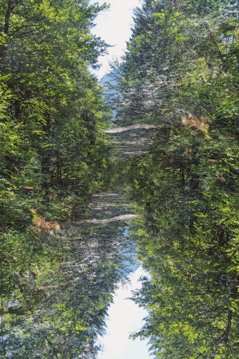 Korinna Fröhlich, Doppelbelichtung 2023 - Inspiration zum Gedicht "Wanderung" Korinna Fröhlich, Doppelbelichtung 2023 - Inspiration zum Gedicht "Wanderung"