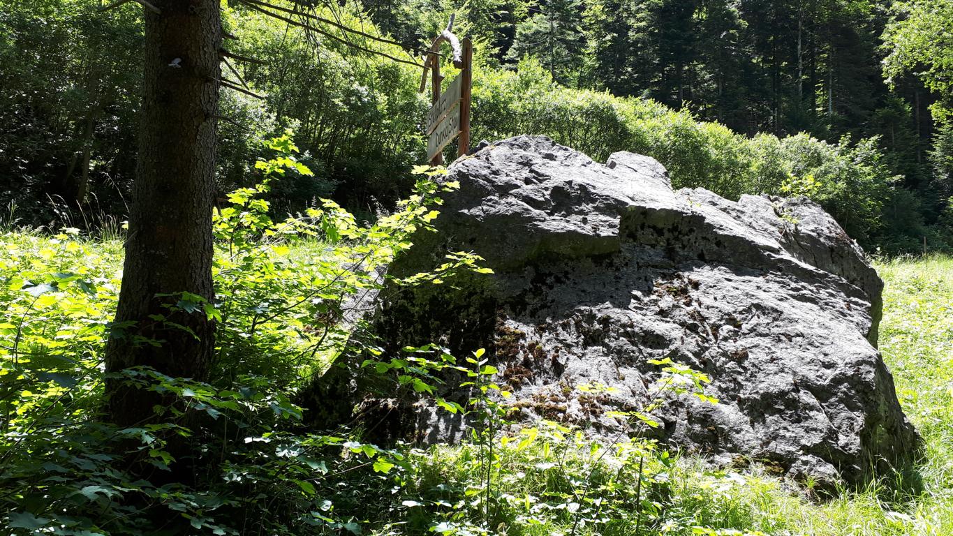 Dunkla Stai (Dark Stone) | Foto: Eva Batt Dunkla Stai (Dark Stone) | Foto: Eva Batt